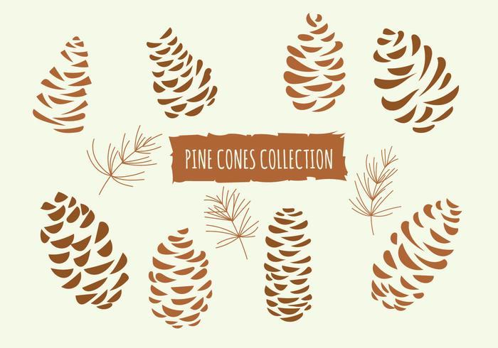 Hand Drawn Vector Illustrations. Collection of Pine Cones