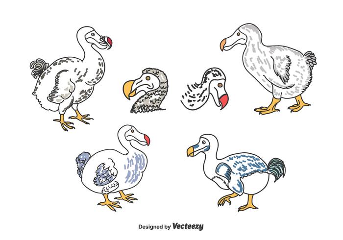 Hand Drawn Dodo Set vector