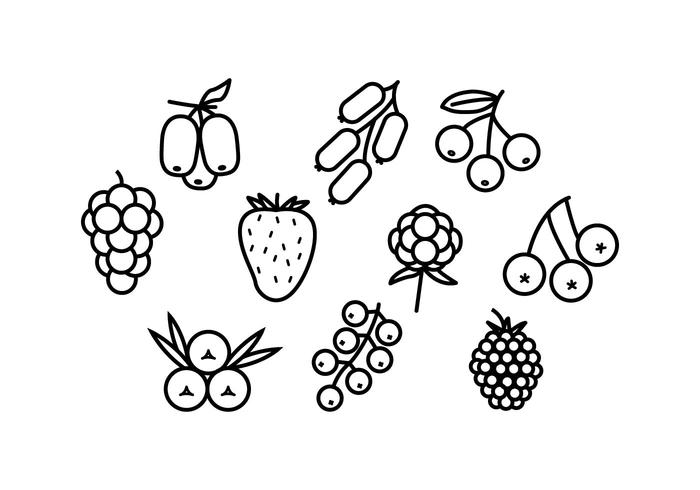 Free Berries Line Icon Vector