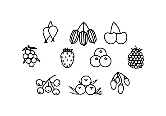 Free Berries Line Icon Vector