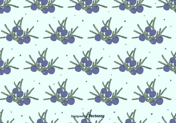 Hand Drawn Juniper Pattern vector