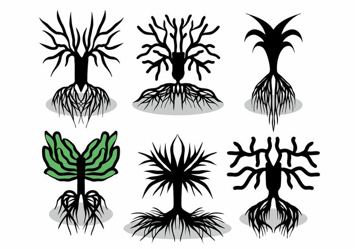 Tree With Roots Vector Set Tree With Roots Vector Set