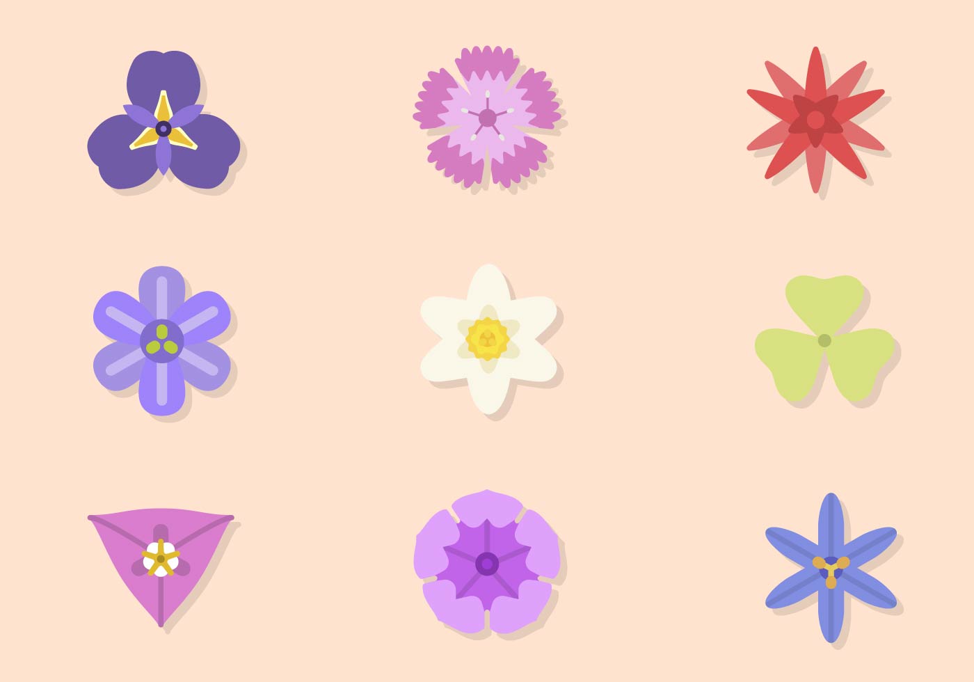 Flat Flower Vector 146246 Vector Art at Vecteezy