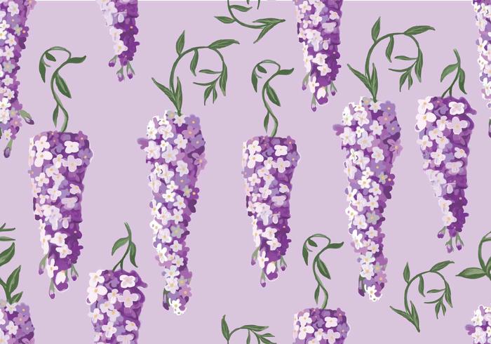 Wisteria Seamless Pattern Vector