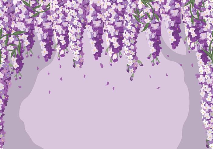 Wisteria Vector Antecedentes