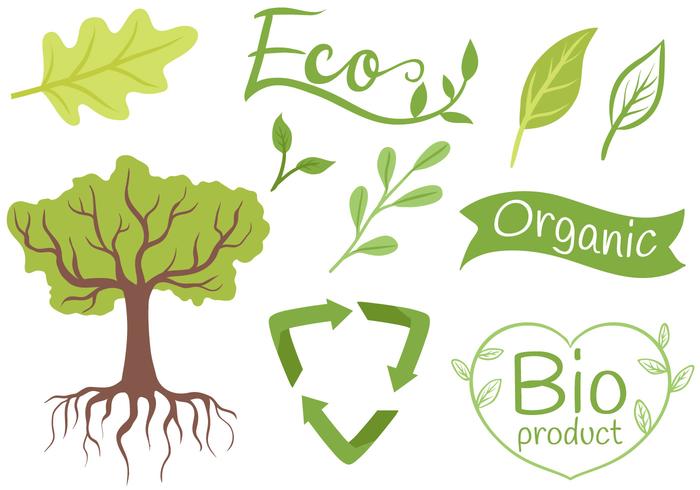 Free Ecology Vectors Free Ecology Vectors