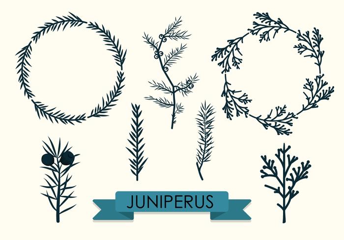 Branches Collection Vector