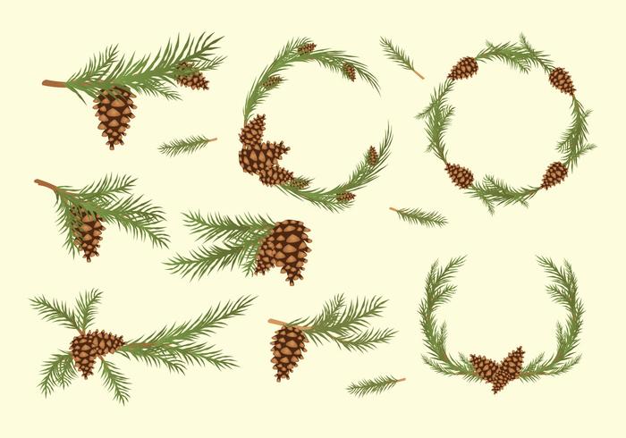 Pine Cones Vector