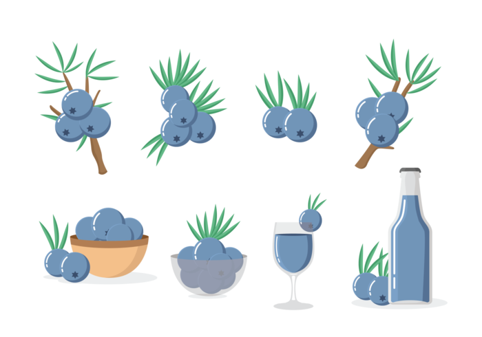 Juniper Iconos Vector