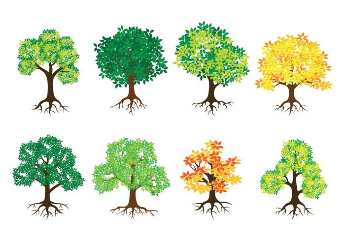 Tree With Roots Vector Icons