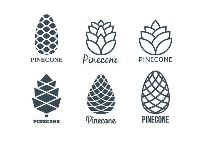 Flat Pine Cones Logo Template Collection vector