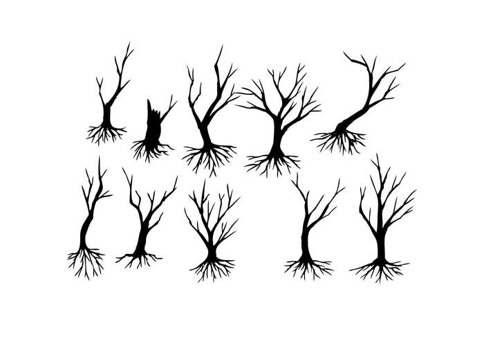 Free Vector silueta del árbol