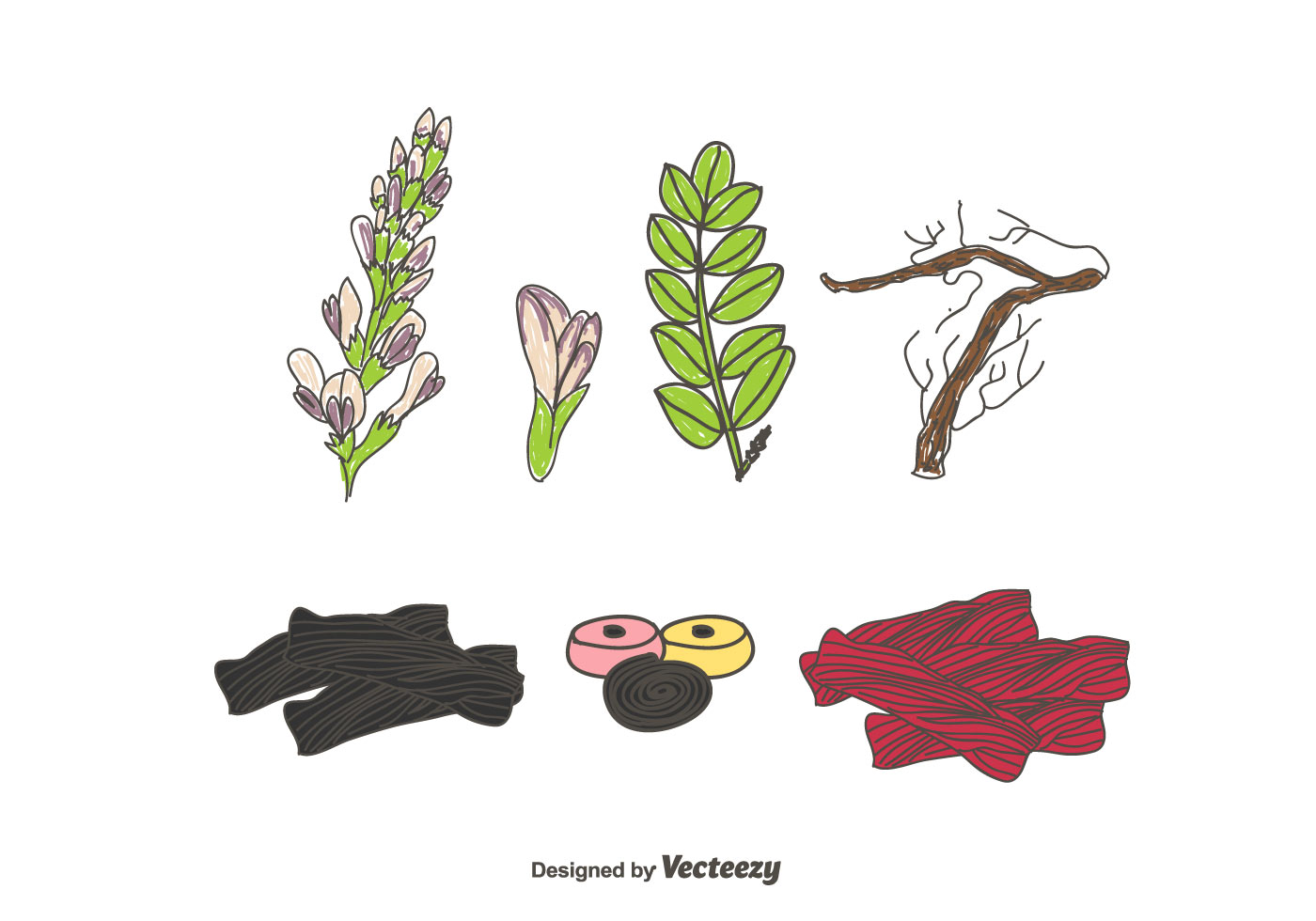 Licorice Vector Set 146399 Vector Art at Vecteezy