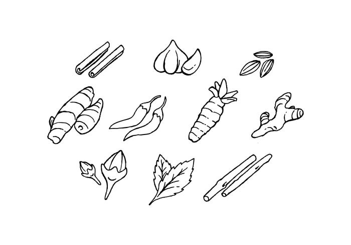 Libre culinario especias dibujado mano del icono del vector