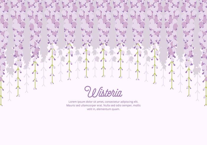 Wisteria Background vector