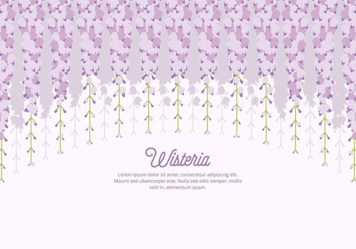 Wisteria Background vector