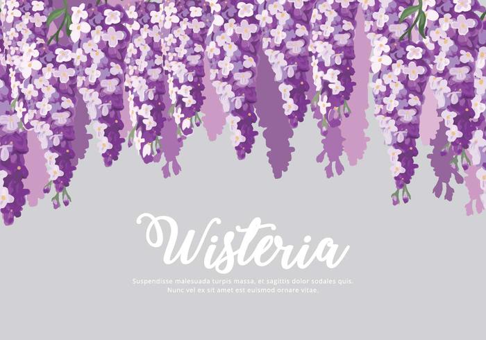 Wisteria Flowers Background Vector