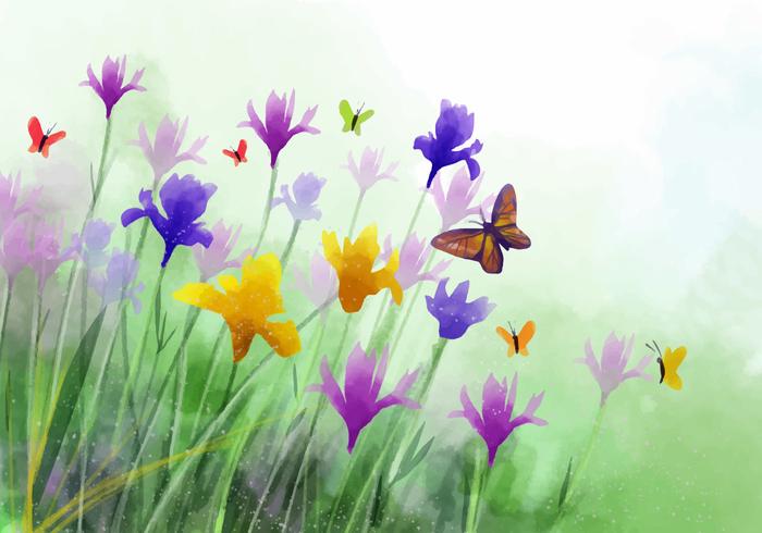 Watercolor Wildflower Iris Flower Vector Background 