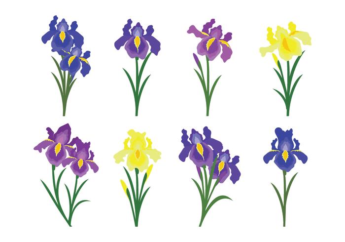 Beautiful Iris Flower Vector Icons