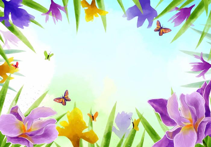 Frame of Iris Flowers Vector