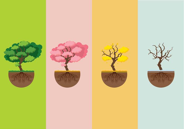 Árbol con las raíces temporadas vector gratuito