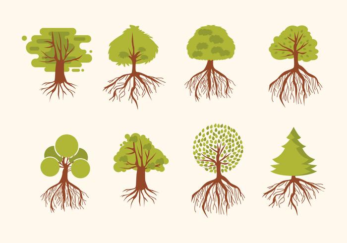 Tree With Roots Vector