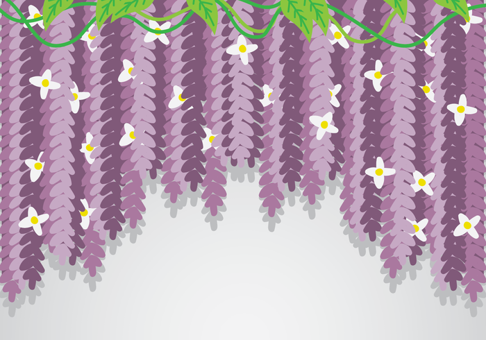 Wisteria Flowers Background vector