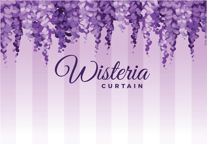 Hanging Wisteria Background Vector