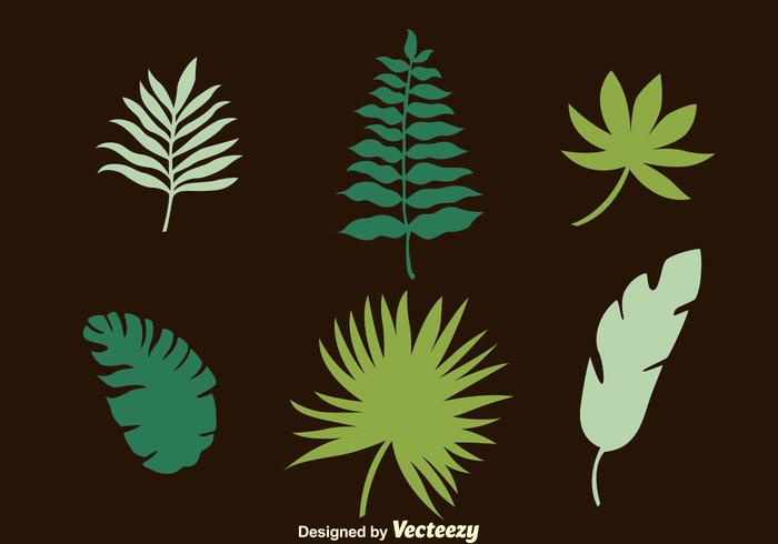 Palm Leaf Collection Vectors