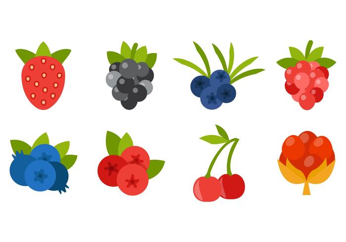 Berries Icons Vector