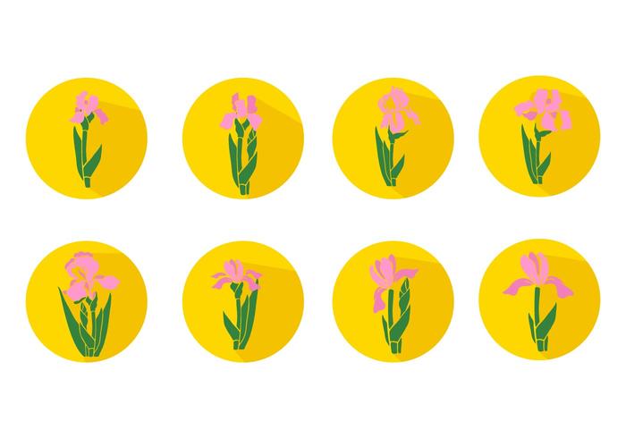 Free Iris Flower Icons Vector Free Iris Flower Icons Vector