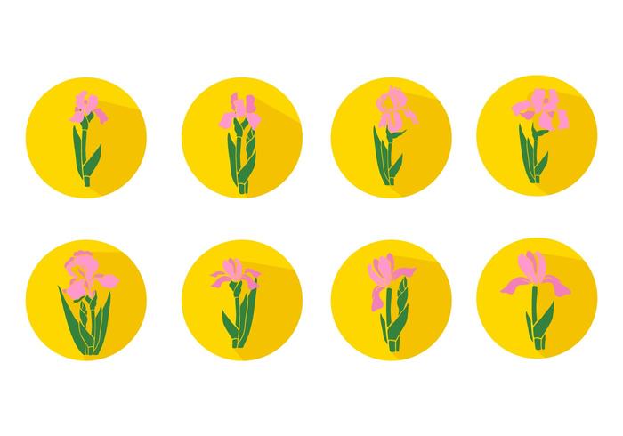 Iconos De La Flor Iris Gratis vector