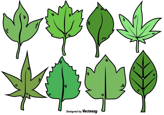 Cartoon Leaves Collection vector