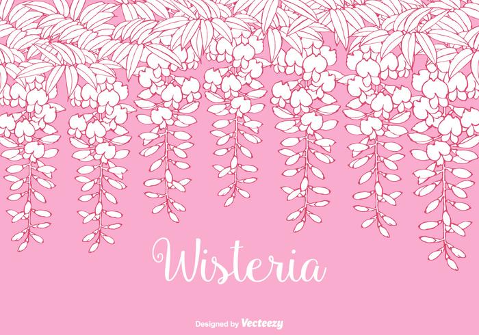 Hand Drawn Blooming Wisteria Branches With Leaves vector