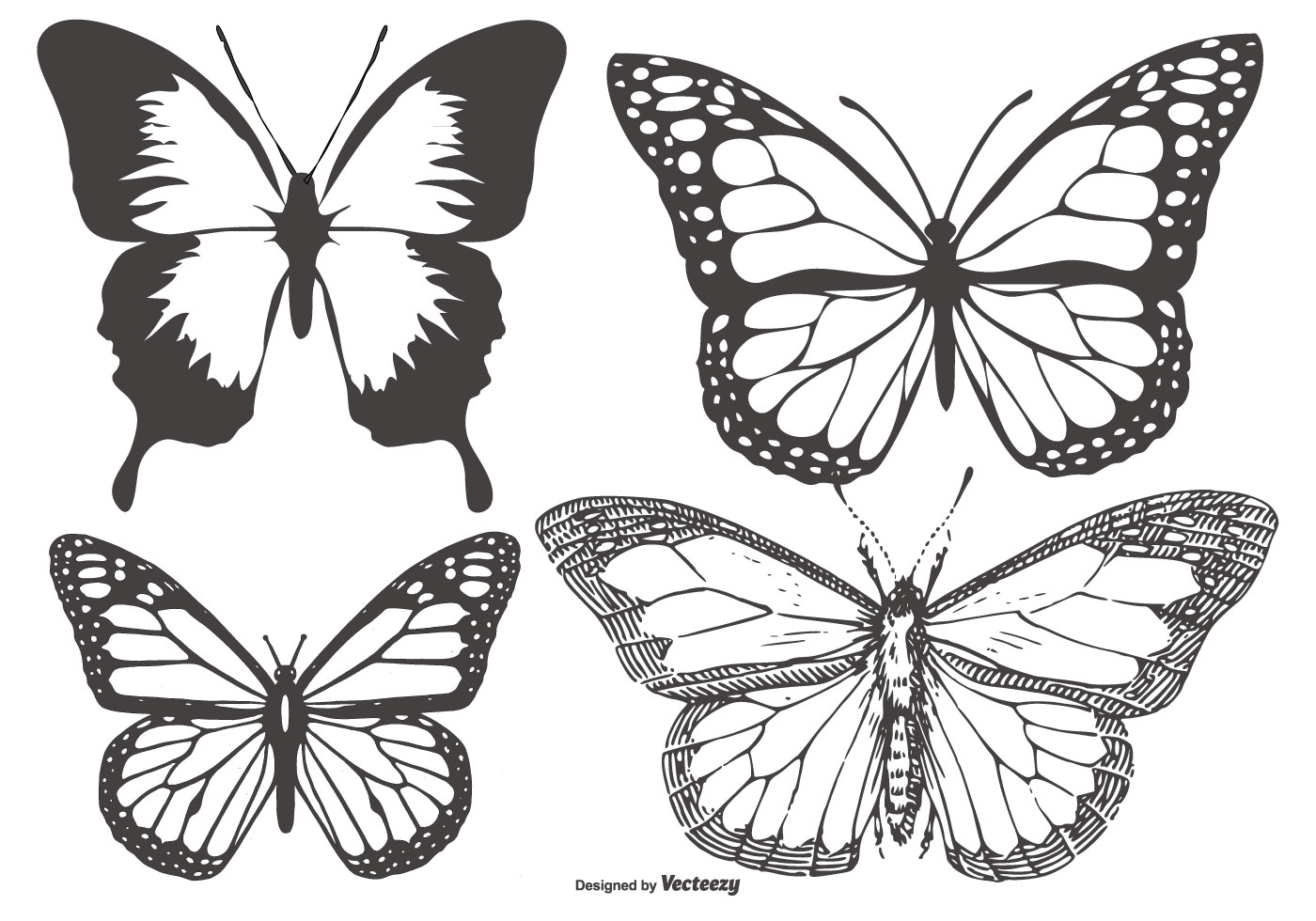 Butterfly Drawing Vector Art, Icons, and Graphics for Free Download