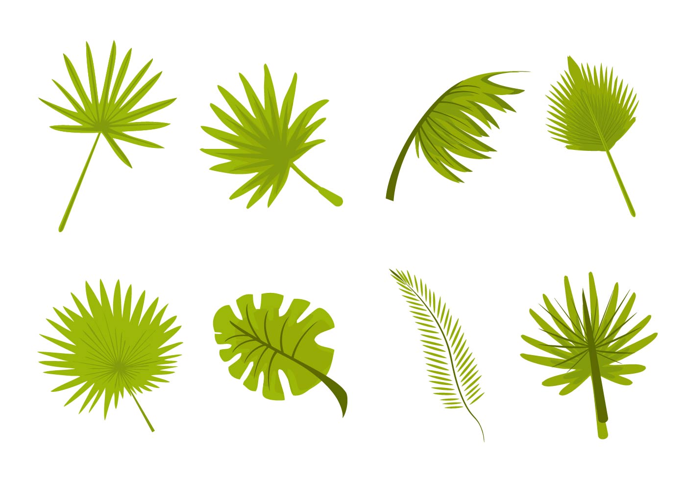 Back to List of Tropical Leaves Svg Bundle Palm Leaf - 160+ Popular SVG Des...