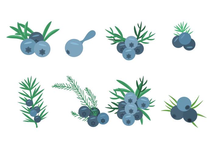 Free Juniper Icons Vector Illustration