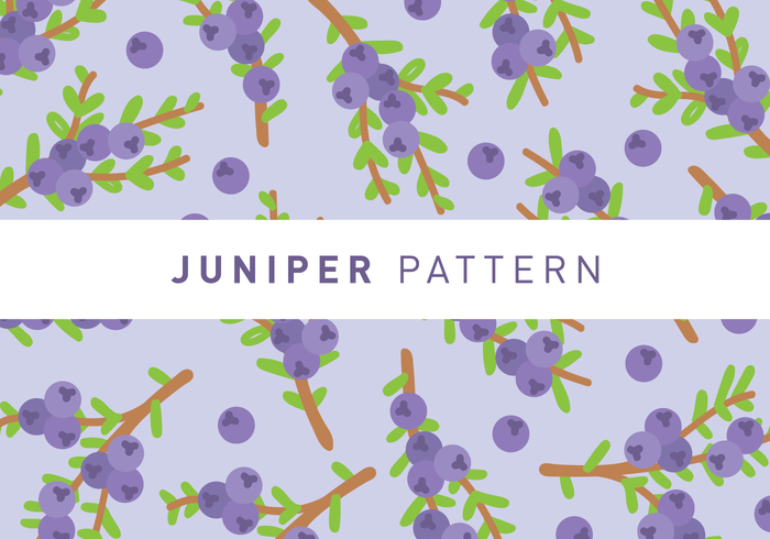 Juniper Pattern Wallpaper vector