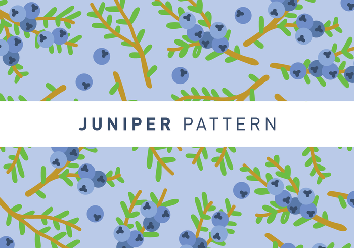 Juniper patrón de vectores de papel tapiz