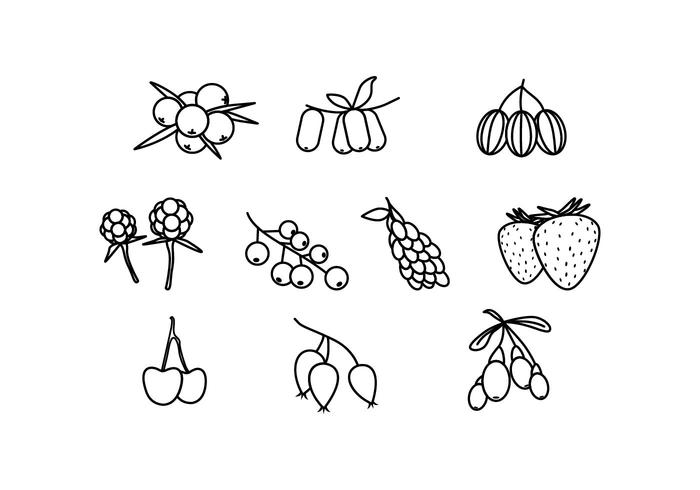 Free Berries Line Icon Vector