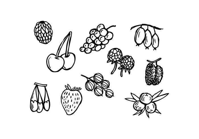 Free Berries Hand Drawn Icon Vector