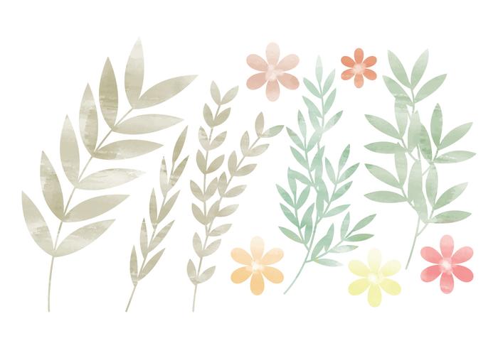 Vector Colorful Branches and Floral Set