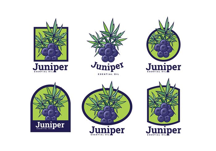 Juniper Logo Vector libre