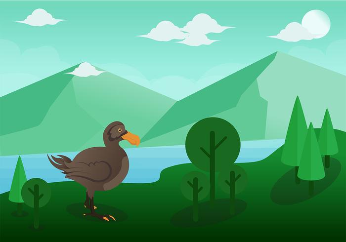 Dodo Bird Vector Dodo Bird Vector