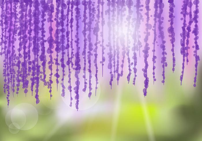 Wisteria Flower Background vector