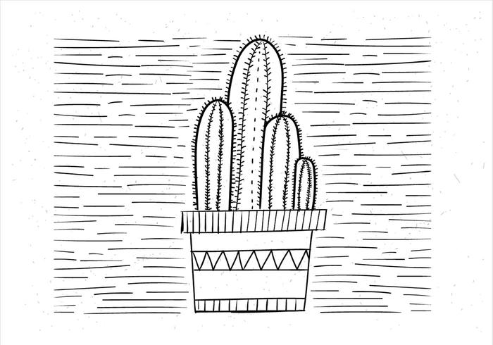 Ilustración vectorial libre de cactus vector