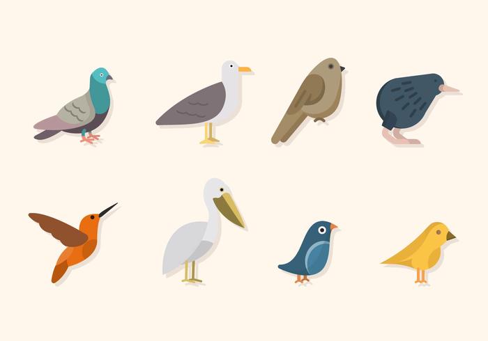 Flat Bird Vectors