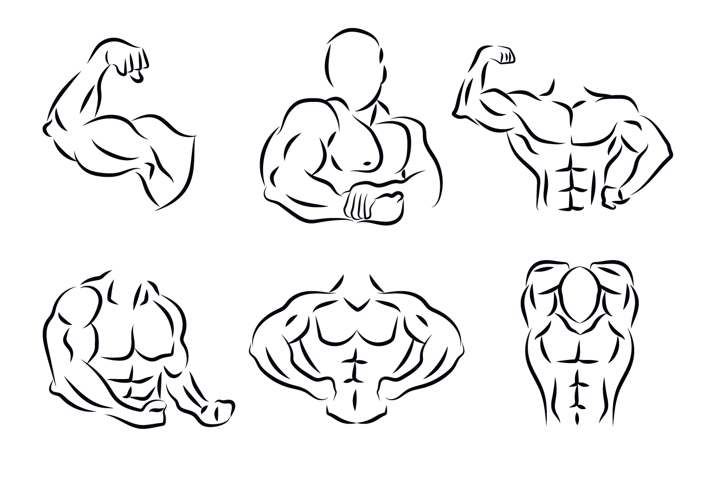 Flexing Pose Drawing