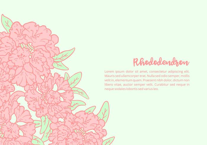 Rhododendron Background vector