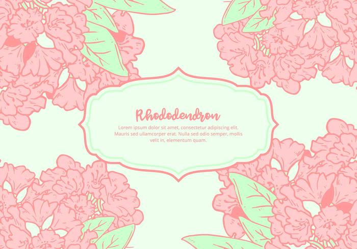 Rhododendron Background vector